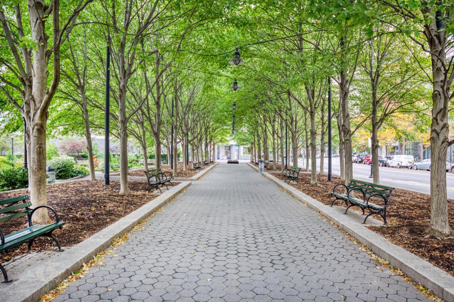 Modern Fidi 1Br W Roofdeck Gym Doorman Nyc-443 Apartment New York Exterior photo